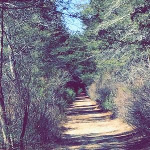 Meet your Posher, Owen